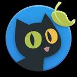 Black Cat
